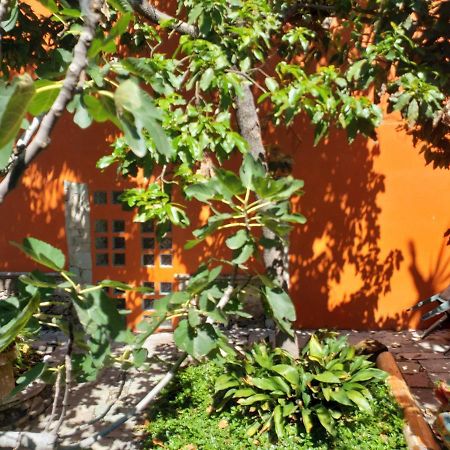 Апартаменты Ex Hacienda Гуанахуато Экстерьер фото